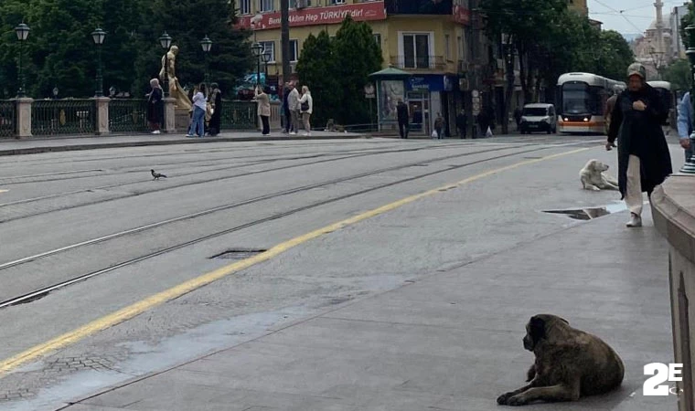 Eskişehir'de sokaklar bomboş kaldı!