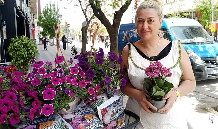 Havaların ısınmasıyla birlikte yazlık çiçek satışları başladı