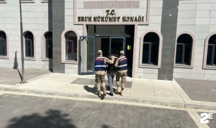 Jandarma ekipleri teröre destek verenleri yakalıyor