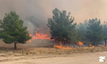 Valilik orman yangınlarına karşı vatandaşı uyardı